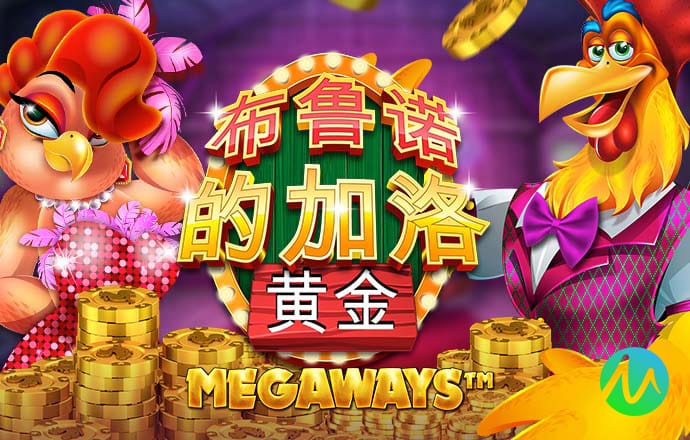 今年会官方网站